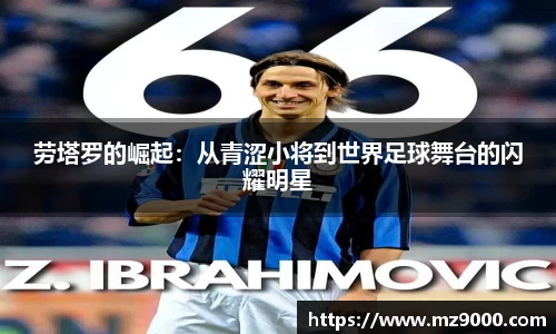 威廉希尔williamhill官方网站